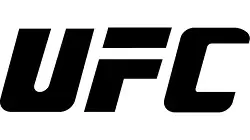 Турнир UFC 205